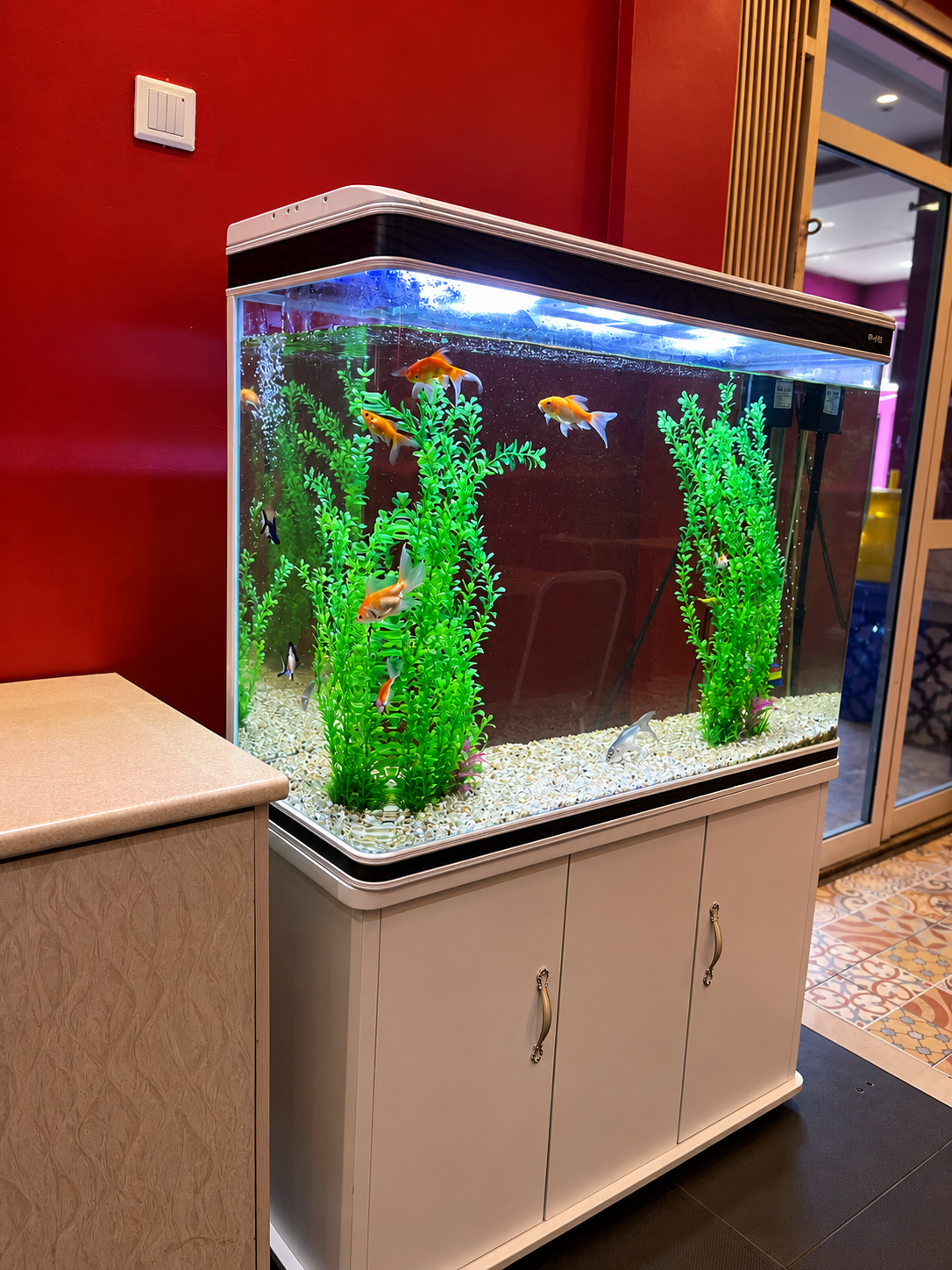 The aquarium inside Chilli Ji